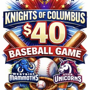 Baseball Game Fundraiser -
